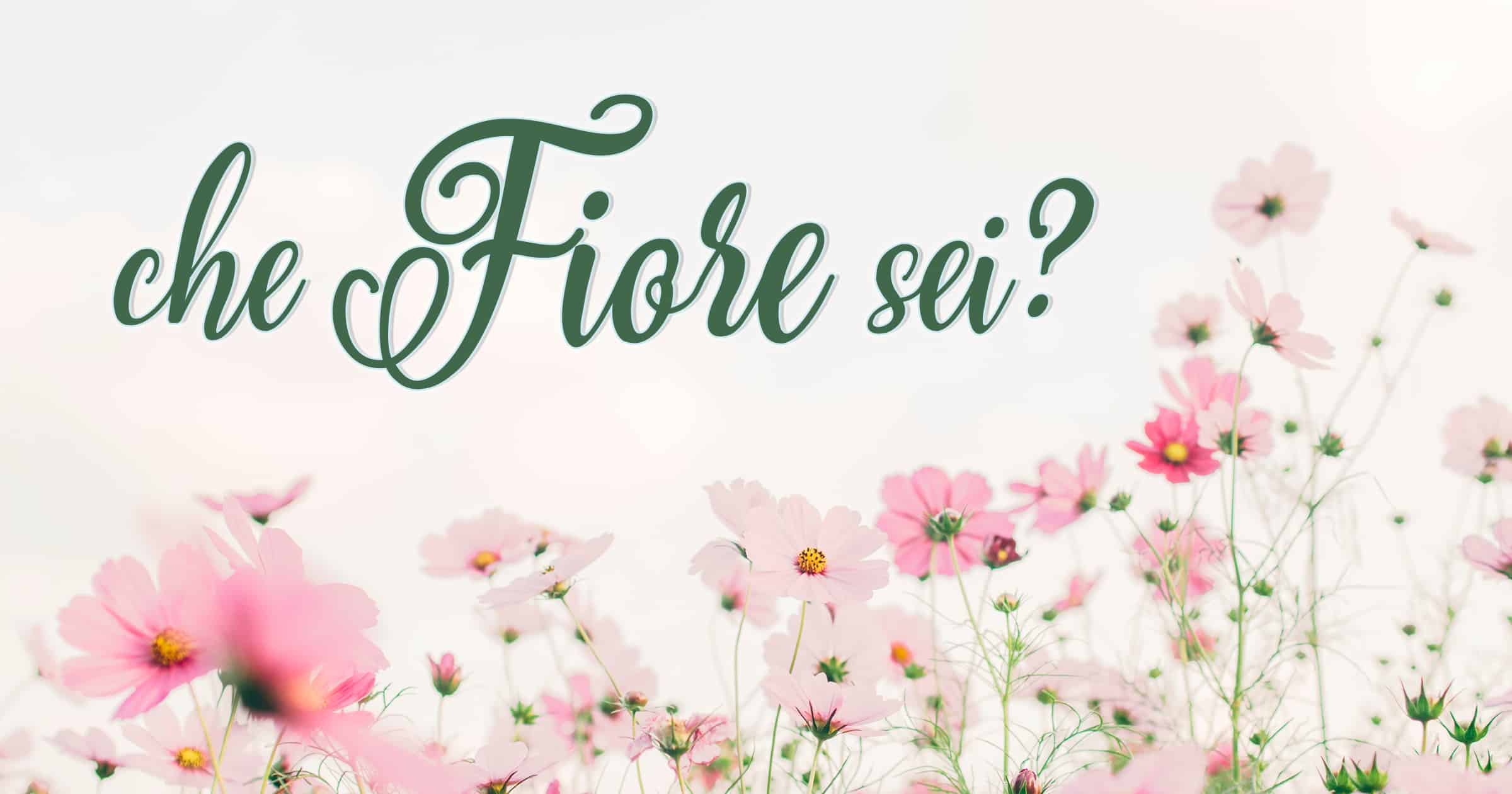 Che fiore sei?