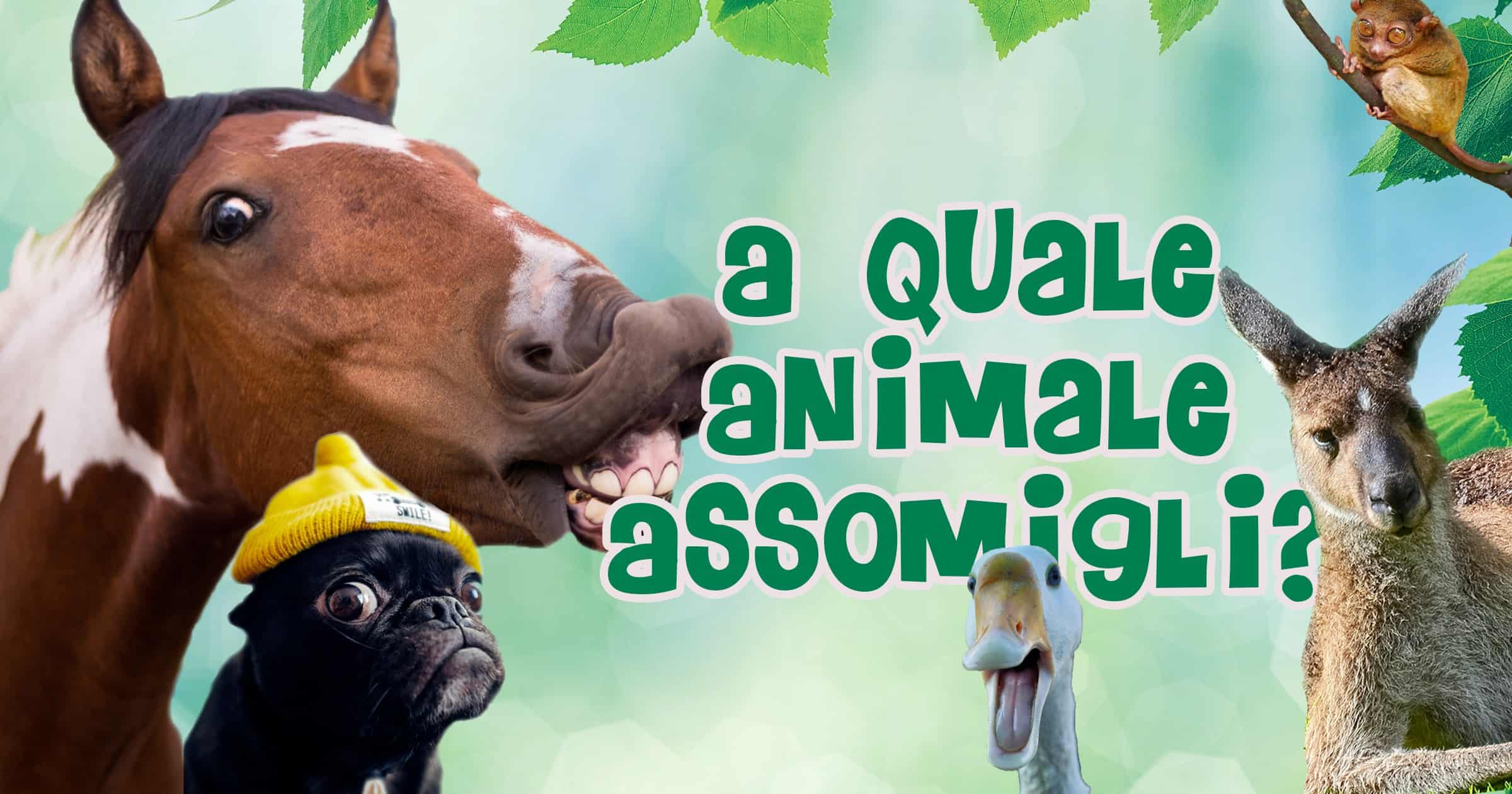 Quale Animale ti Assomiglia di Più?