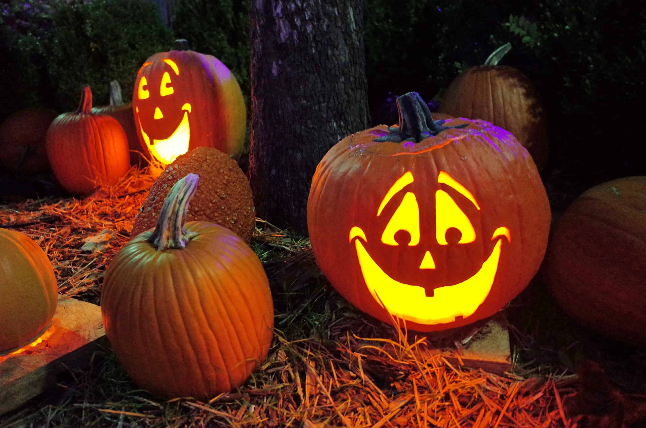 Come Decorare la Zucca di Halloween